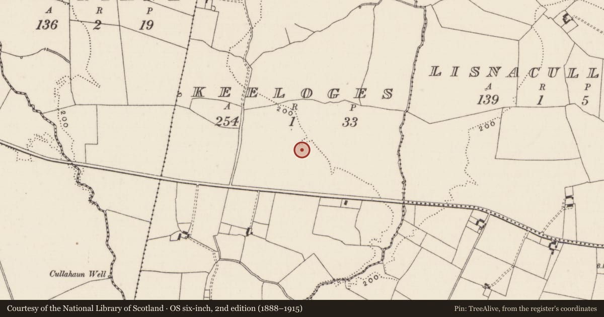 Ordnance Survey six-inch map, 2nd edition (1888–1915) covering the location of Earthwork, Keeloges, County Limerick, with a pin at the register's coordinates