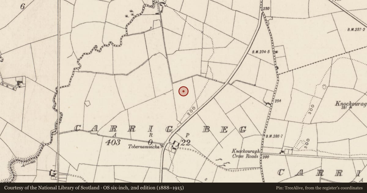 Ordnance Survey six-inch map, 2nd edition (1888–1915) covering the location of Enclosure, Carrig Beg, County Limerick, with a pin at the register's coordinates