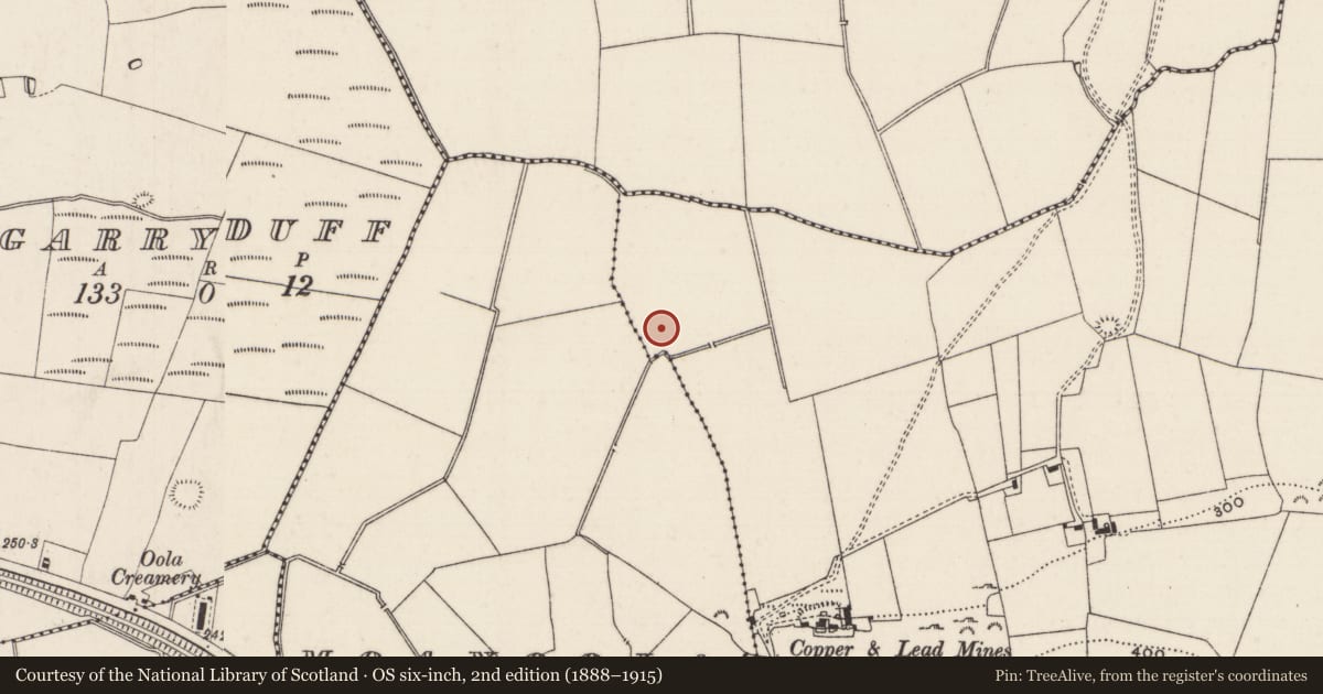 Ordnance Survey six-inch map, 2nd edition (1888–1915) covering the location of Barrow - ditch barrow, Oolahills East, County Limerick, with a pin at the register's coordinates