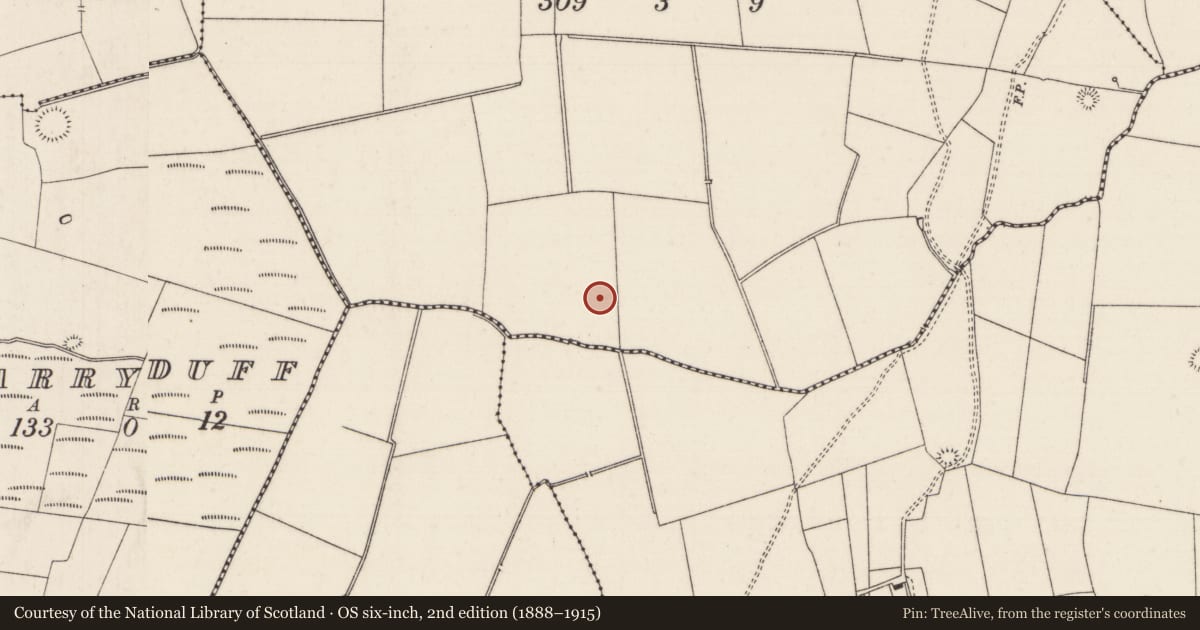 Ordnance Survey six-inch map, 2nd edition (1888–1915) covering the location of Barrow - ditch barrow, Moanroe, County Limerick, with a pin at the register's coordinates