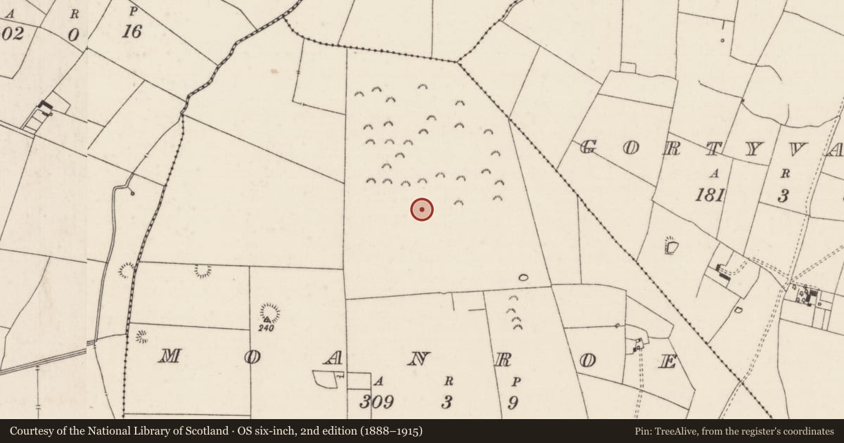 Ordnance Survey six-inch map, 2nd edition (1888–1915) covering the location of Barrow - ditch barrow, Moanroe, County Limerick, with a pin at the register's coordinates