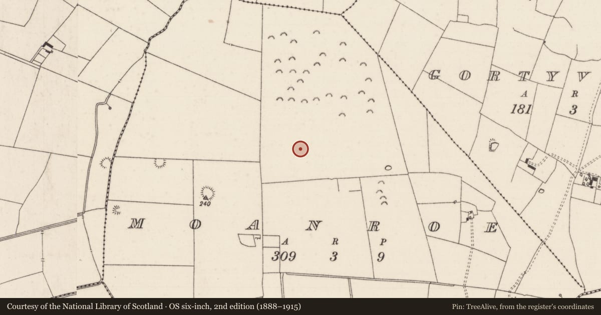 Ordnance Survey six-inch map, 2nd edition (1888–1915) covering the location of Barrow - ditch barrow, Moanroe, County Limerick, with a pin at the register's coordinates