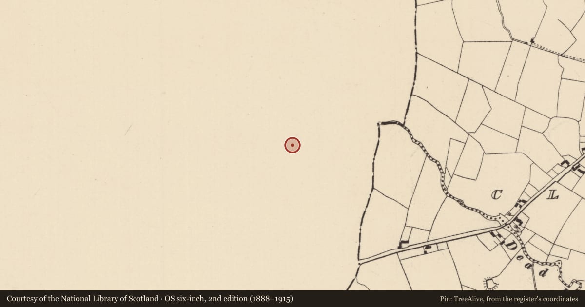 Ordnance Survey six-inch map, 2nd edition (1888–1915) covering the location of Earthwork, Longford East, County Limerick, with a pin at the register's coordinates