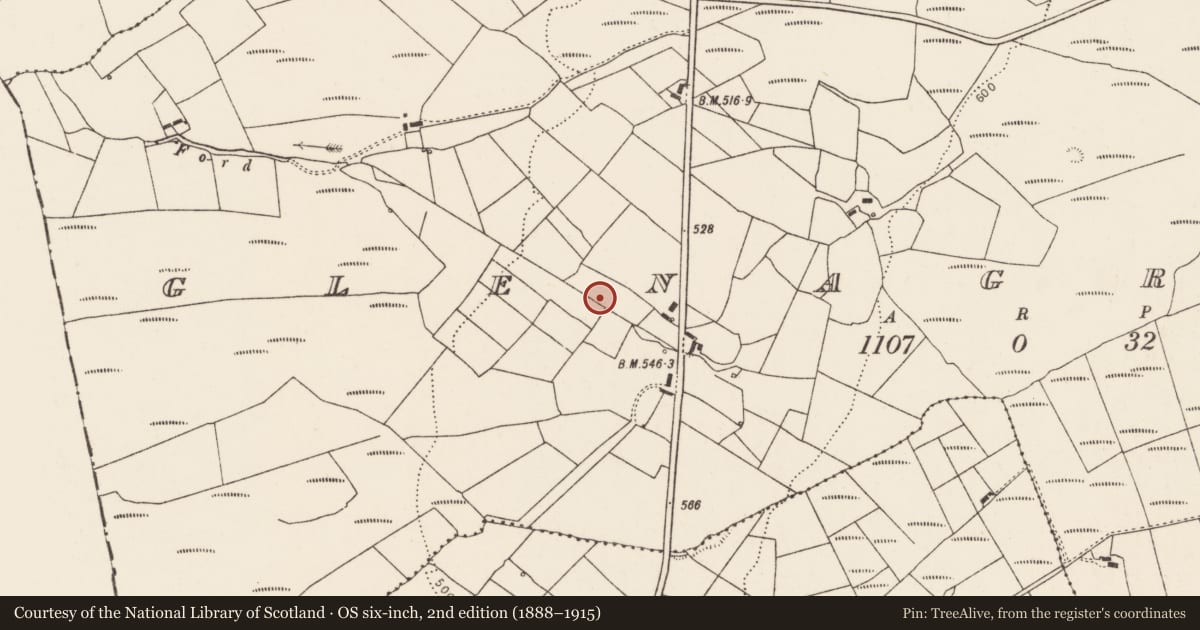 Ordnance Survey six-inch map, 2nd edition (1888–1915) covering the location of Fulacht fia, Glenagragara, County Limerick, with a pin at the register's coordinates