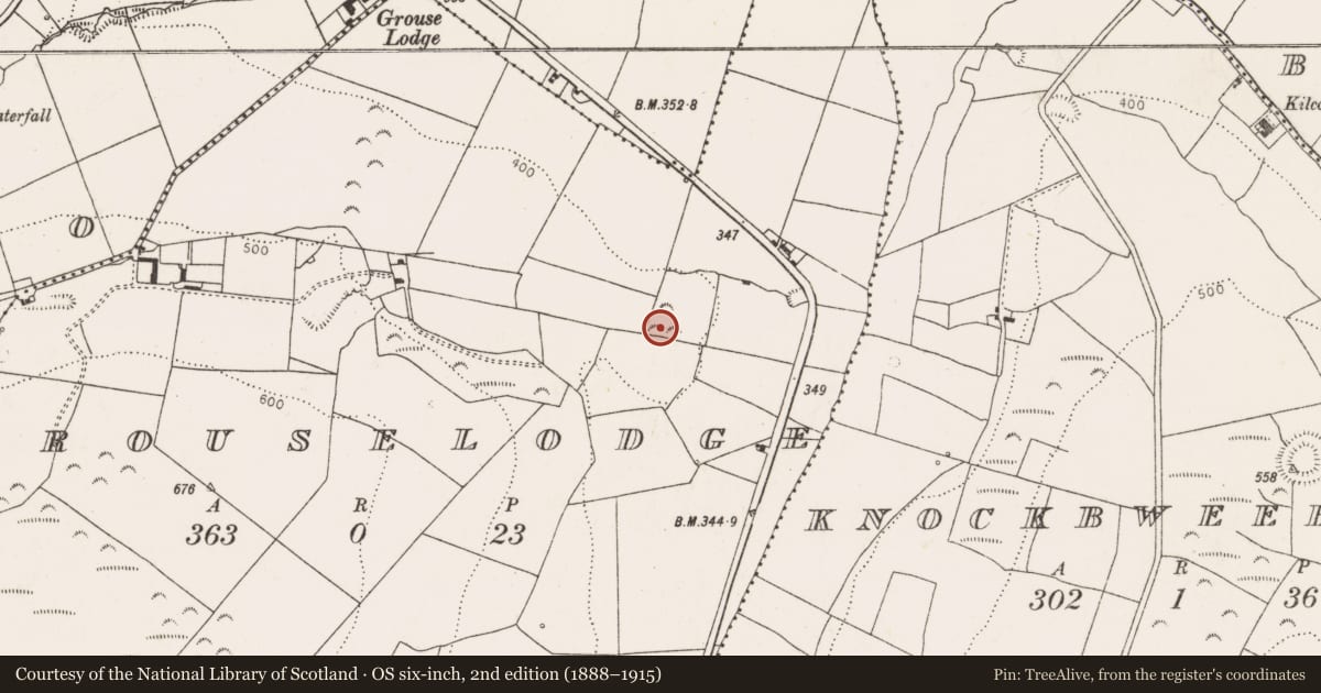 Ordnance Survey six-inch map, 2nd edition (1888–1915) covering the location of Ringfort - rath, Grouselodge, County Limerick, with a pin at the register's coordinates