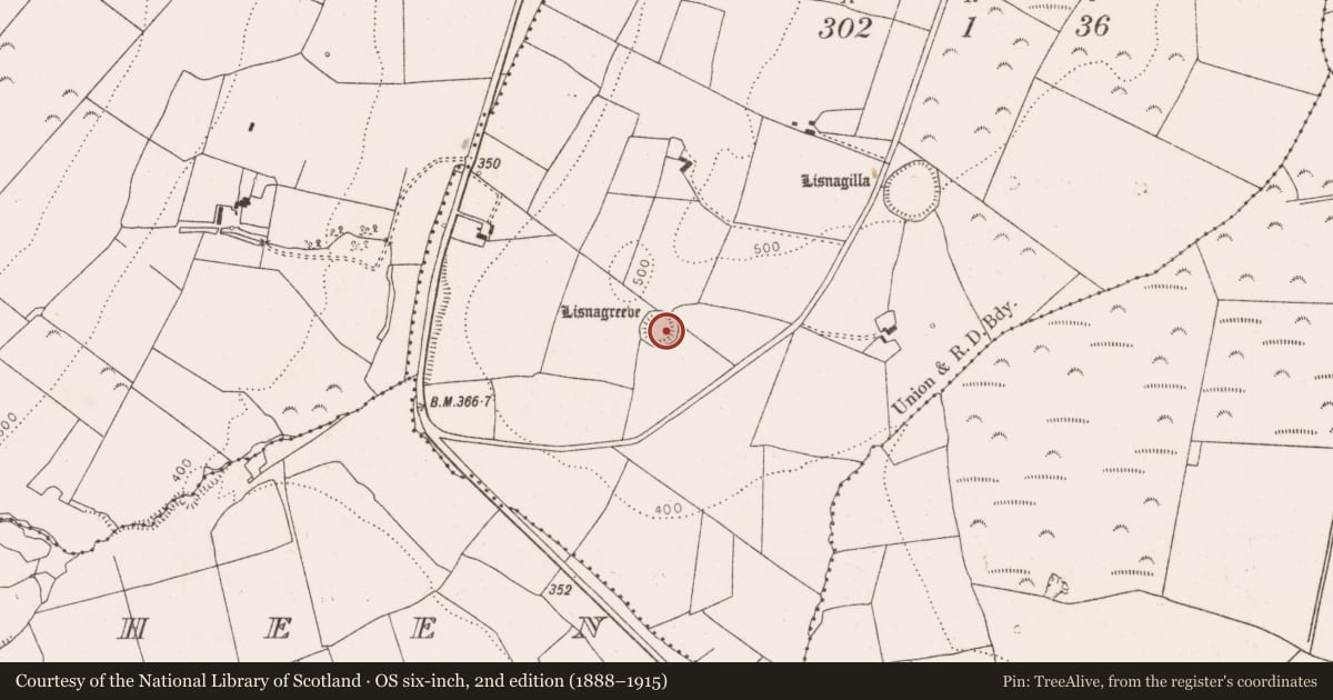 Ordnance Survey six-inch map, 2nd edition (1888–1915) covering the location of Ringfort - rath, Knockbweeheen, County Limerick, with a pin at the register's coordinates