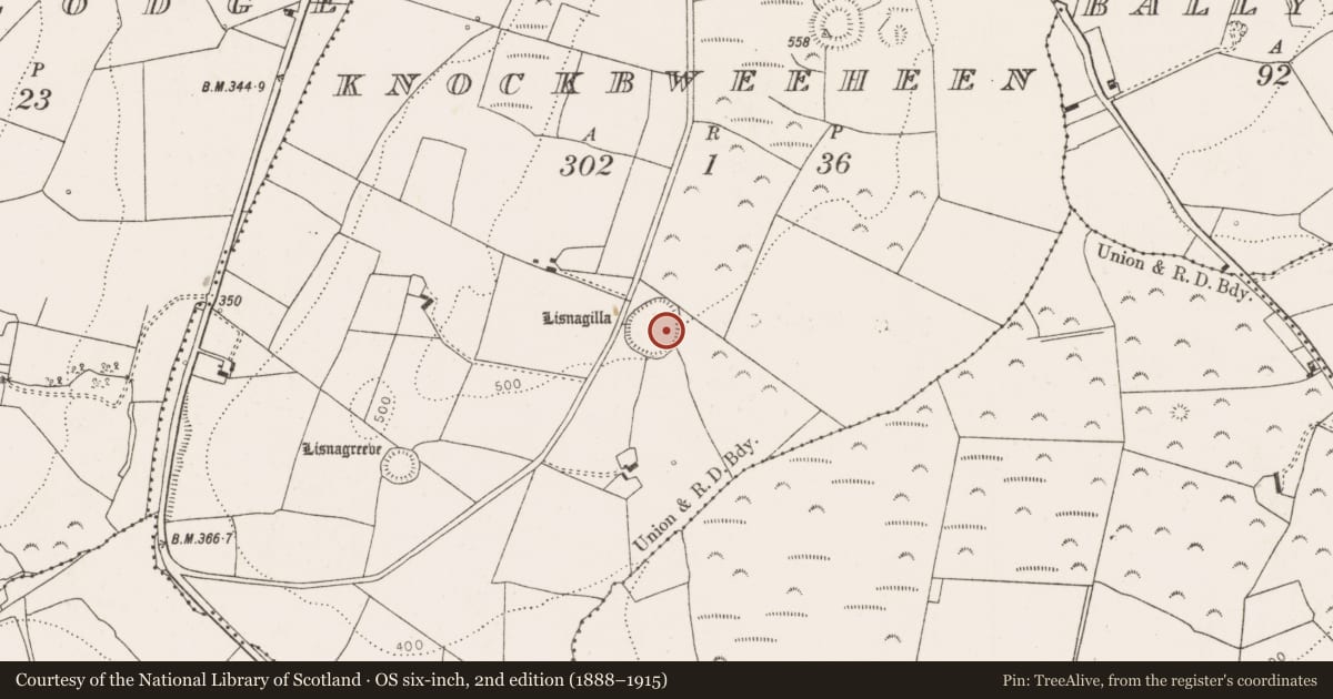 Ordnance Survey six-inch map, 2nd edition (1888–1915) covering the location of Ringfort - rath, Knockbweeheen, County Limerick, with a pin at the register's coordinates