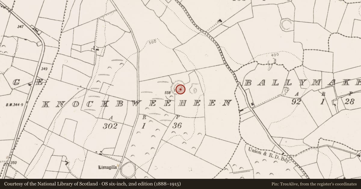 Ordnance Survey six-inch map, 2nd edition (1888–1915) covering the location of Ringfort - rath, Knockbweeheen, County Limerick, with a pin at the register's coordinates