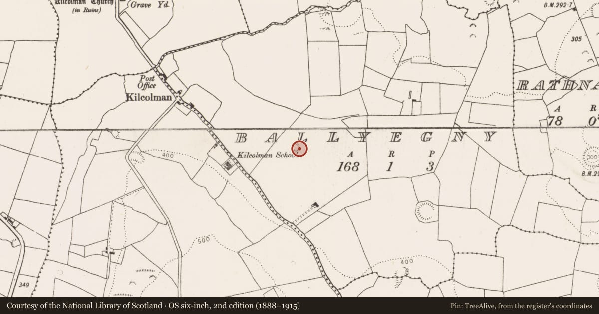Ordnance Survey six-inch map, 2nd edition (1888–1915) covering the location of Ringfort - rath, Ballyegny, County Limerick, with a pin at the register's coordinates