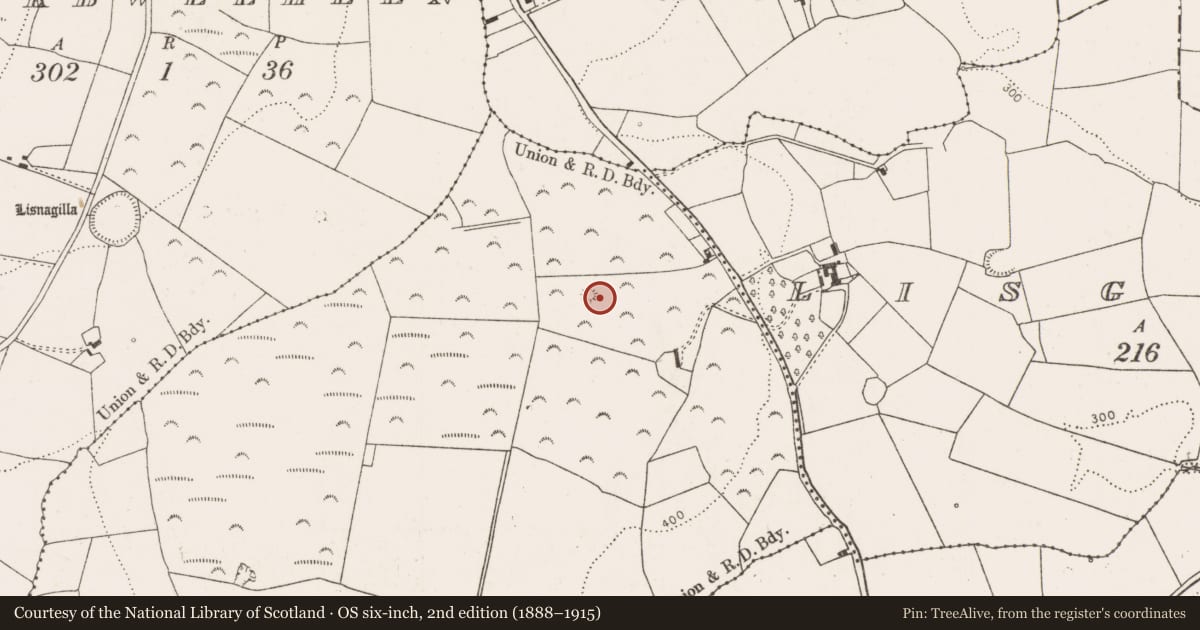 Ordnance Survey six-inch map, 2nd edition (1888–1915) covering the location of Mound, Ballyvoghan, County Limerick, with a pin at the register's coordinates