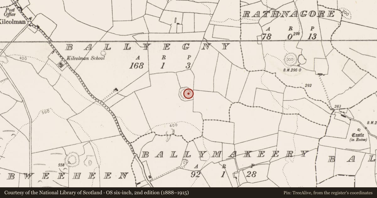 Ordnance Survey six-inch map, 2nd edition (1888–1915) covering the location of Ringfort - rath, Ballyegny, County Limerick, with a pin at the register's coordinates
