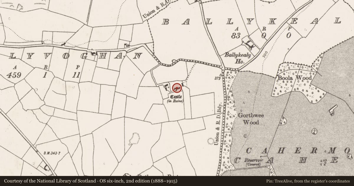 Ordnance Survey six-inch map, 2nd edition (1888–1915) covering the location of Castle - tower house, Ballyvoghan, County Limerick, with a pin at the register's coordinates