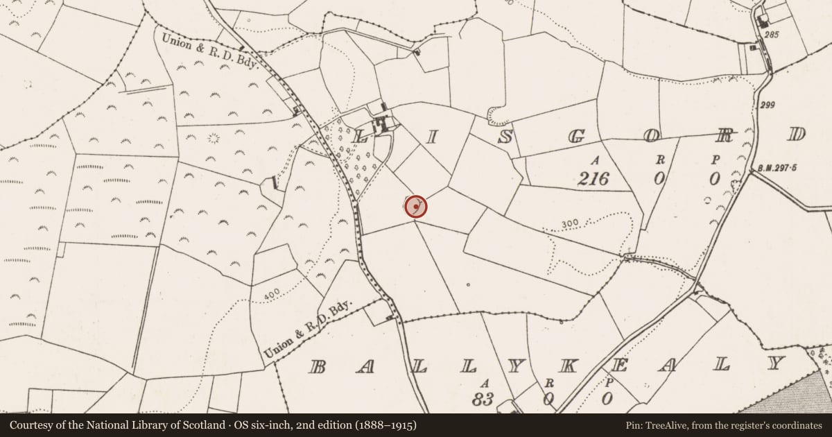 Ordnance Survey six-inch map, 2nd edition (1888–1915) covering the location of Moated site, Lisgordan, County Limerick, with a pin at the register's coordinates