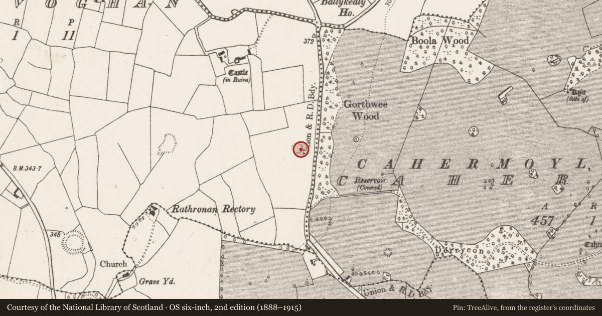 Ordnance Survey six-inch map, 2nd edition (1888–1915) covering the location of Ringfort - rath, Ballyvoghan, County Limerick, with a pin at the register's coordinates
