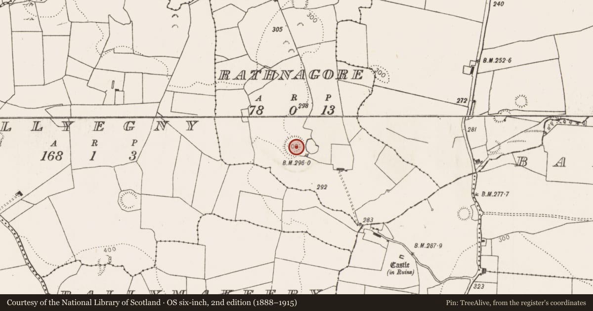 Ordnance Survey six-inch map, 2nd edition (1888–1915) covering the location of Ringfort - rath, Rathnagore, County Limerick, with a pin at the register's coordinates