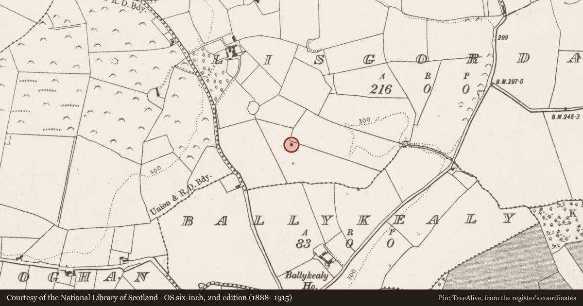 Ordnance Survey six-inch map, 2nd edition (1888–1915) covering the location of Ringfort - rath, Lisgordan, County Limerick, with a pin at the register's coordinates