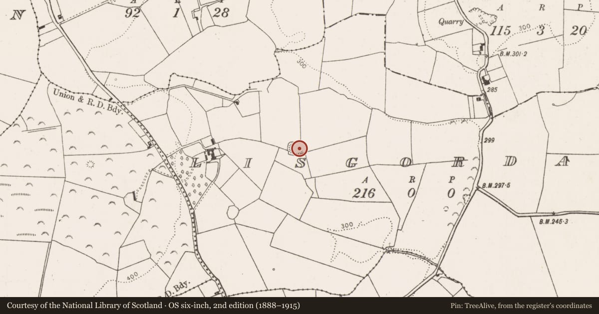Ordnance Survey six-inch map, 2nd edition (1888–1915) covering the location of Ringfort - rath, Lisgordan, County Limerick, with a pin at the register's coordinates