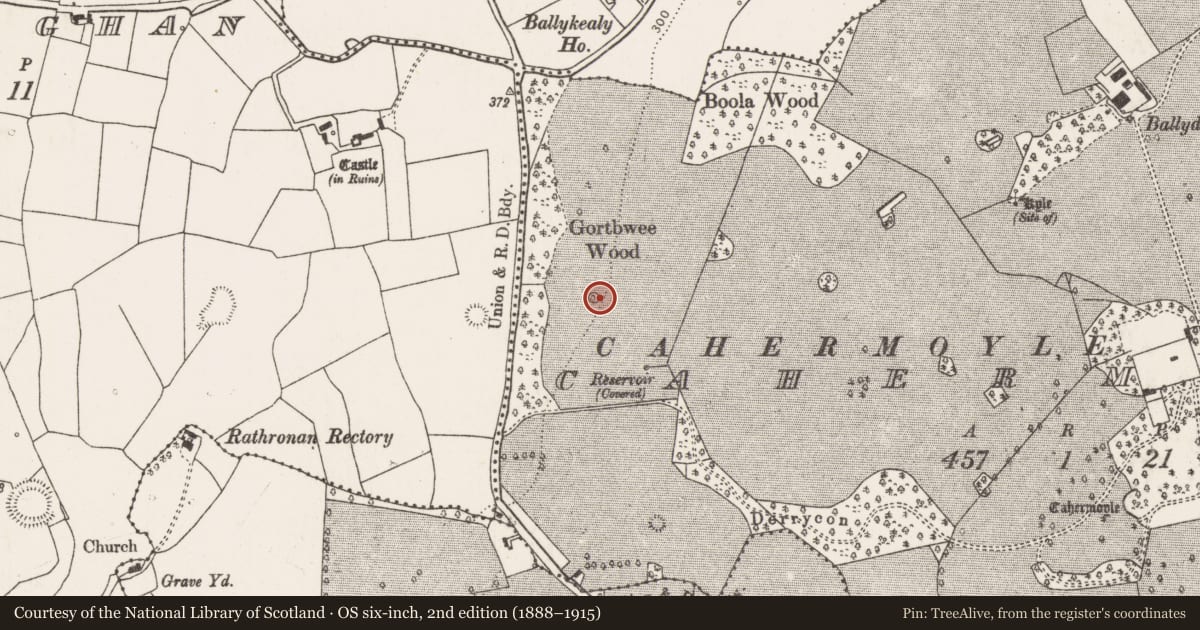 Ordnance Survey six-inch map, 2nd edition (1888–1915) covering the location of Enclosure, Cahermoyle, County Limerick, with a pin at the register's coordinates