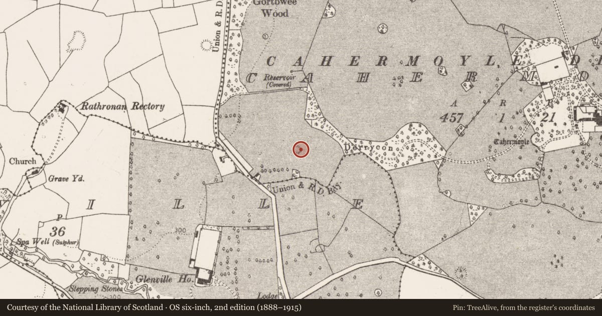 Ordnance Survey six-inch map, 2nd edition (1888–1915) covering the location of Ringfort - rath, Cahermoyle, County Limerick, with a pin at the register's coordinates