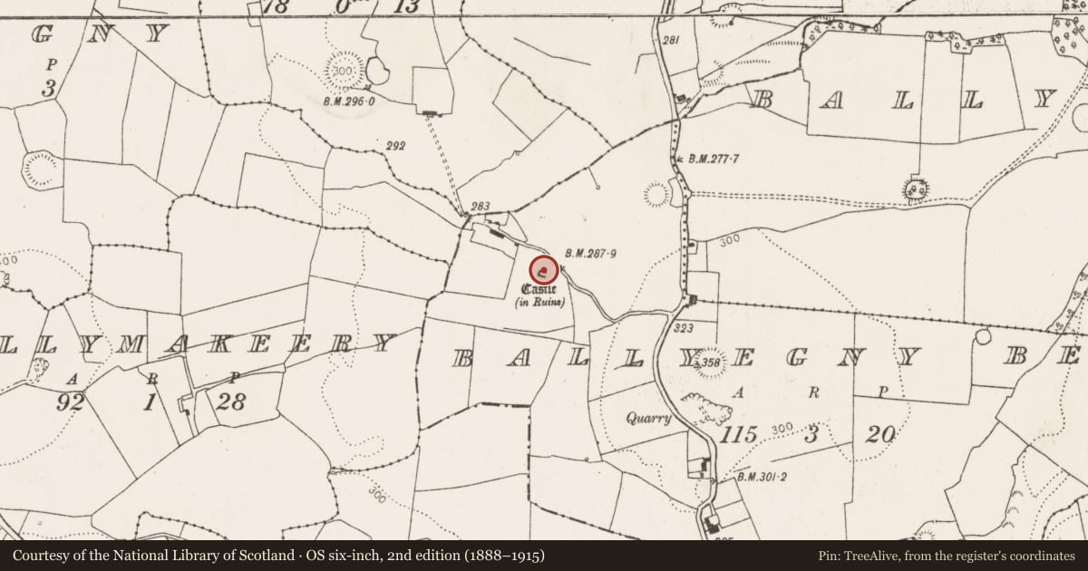 Ordnance Survey six-inch map, 2nd edition (1888–1915) covering the location of Castle - tower house, Ballyegny Beg, County Limerick, with a pin at the register's coordinates