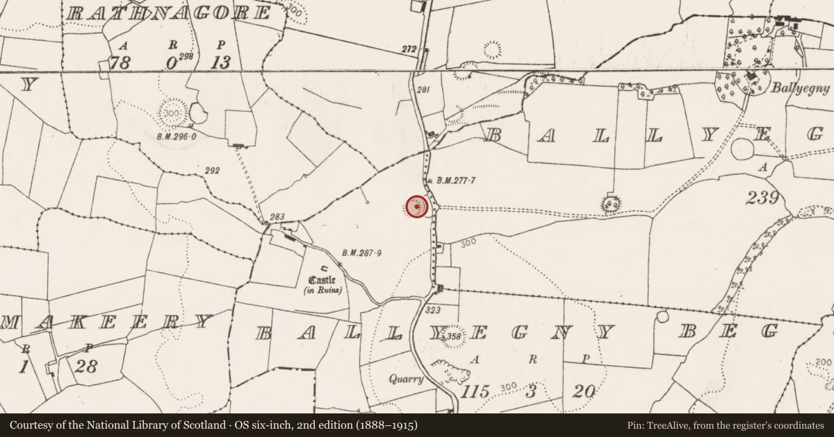 Ordnance Survey six-inch map, 2nd edition (1888–1915) covering the location of Ringfort - rath, Ballyegny Beg, County Limerick, with a pin at the register's coordinates