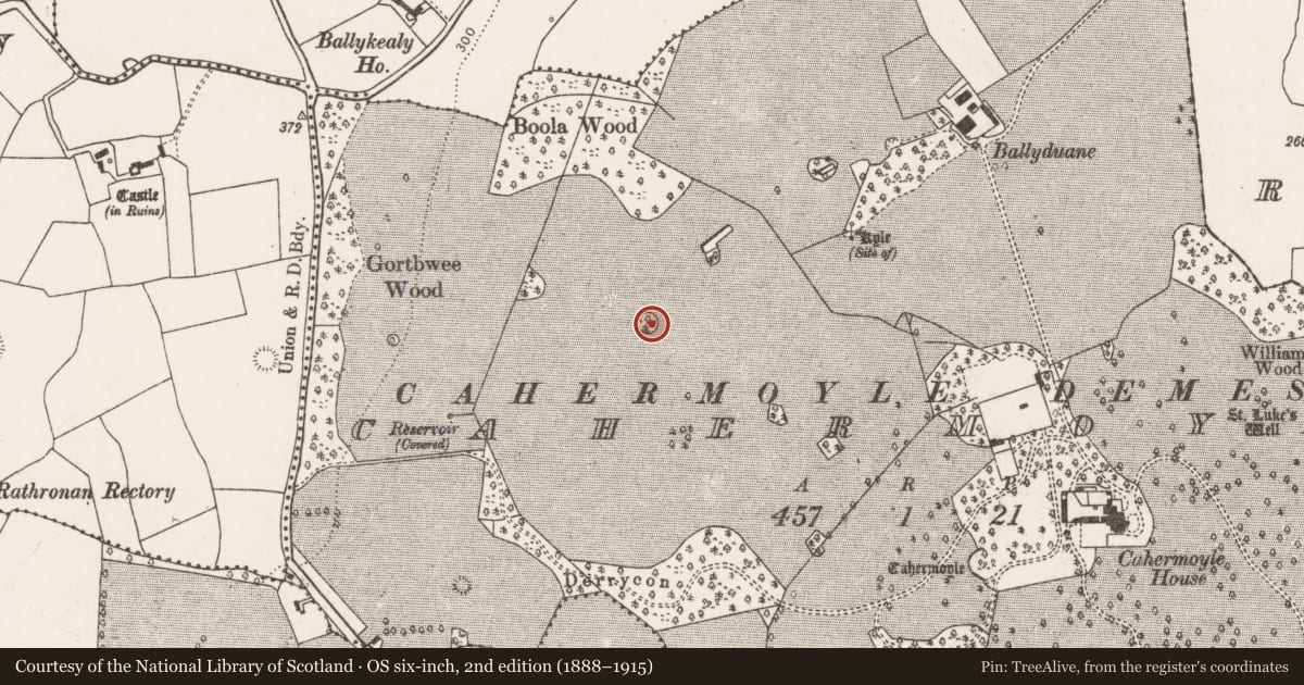 Ordnance Survey six-inch map, 2nd edition (1888–1915) covering the location of Ringfort - rath, Cahermoyle, County Limerick, with a pin at the register's coordinates
