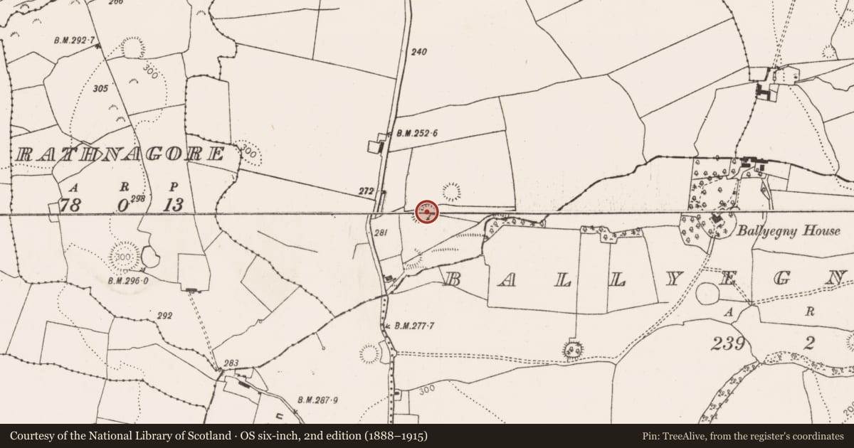 Ordnance Survey six-inch map, 2nd edition (1888–1915) covering the location of Ringfort - rath, Ballyneety, County Limerick, with a pin at the register's coordinates