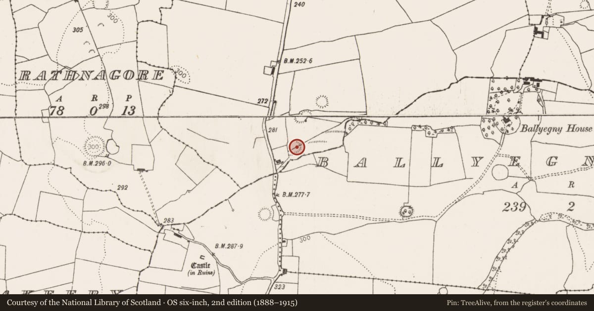 Ordnance Survey six-inch map, 2nd edition (1888–1915) covering the location of Ringfort - rath, Ballyneety, County Limerick, with a pin at the register's coordinates