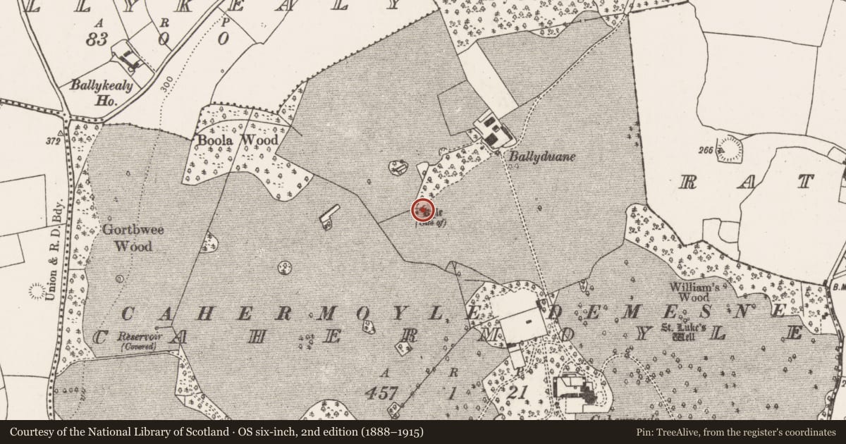 Ordnance Survey six-inch map, 2nd edition (1888–1915) covering the location of Burial ground, Cahermoyle, County Limerick, with a pin at the register's coordinates
