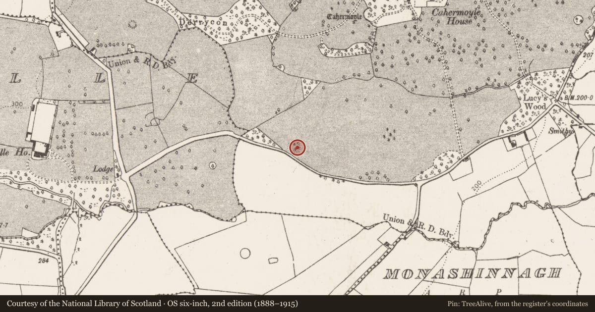Ordnance Survey six-inch map, 2nd edition (1888–1915) covering the location of Ringfort - rath, Cahermoyle, County Limerick, with a pin at the register's coordinates