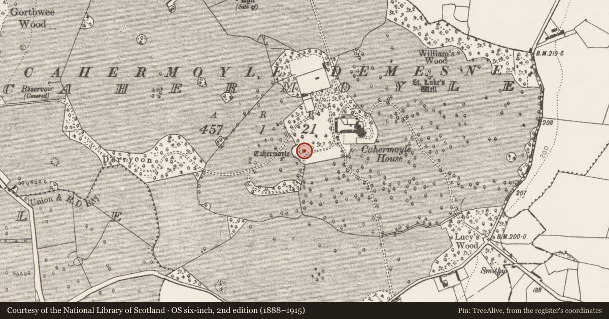 Ordnance Survey six-inch map, 2nd edition (1888–1915) covering the location of Castle - unclassified, Cahermoyle, County Limerick, with a pin at the register's coordinates