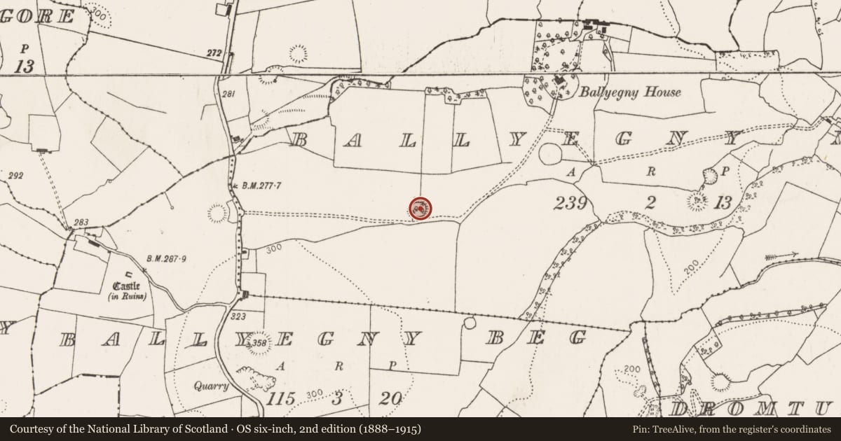 Ordnance Survey six-inch map, 2nd edition (1888–1915) covering the location of Ringfort - rath, Ballyegny More, County Limerick, with a pin at the register's coordinates