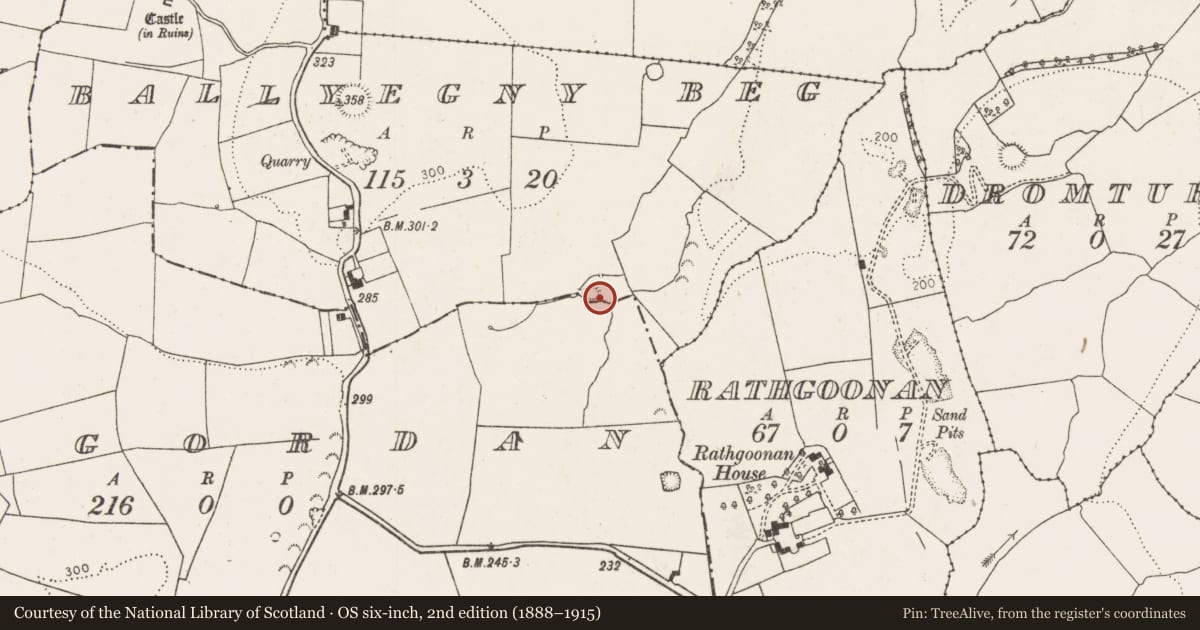Ordnance Survey six-inch map, 2nd edition (1888–1915) covering the location of Mound, Ballyegny Beg, County Limerick, with a pin at the register's coordinates