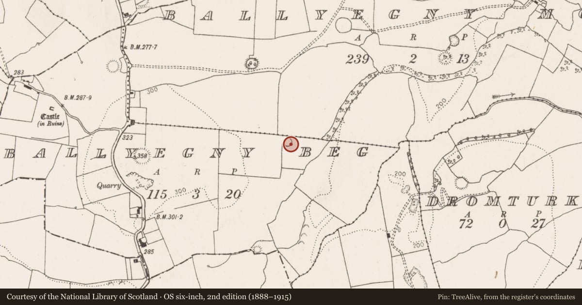 Ordnance Survey six-inch map, 2nd edition (1888–1915) covering the location of Ringfort - rath, Ballyegny Beg, County Limerick, with a pin at the register's coordinates