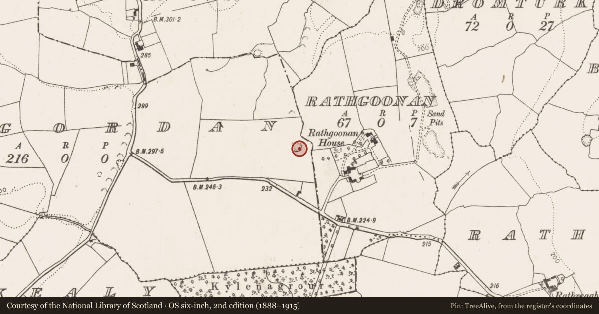 Ordnance Survey six-inch map, 2nd edition (1888–1915) covering the location of Ringfort - rath, Lisgordan, County Limerick, with a pin at the register's coordinates