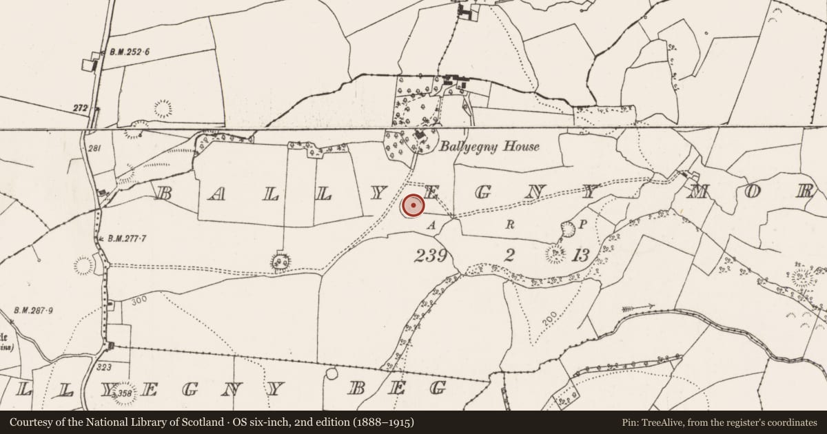 Ordnance Survey six-inch map, 2nd edition (1888–1915) covering the location of Ringfort - rath, Ballyegny More, County Limerick, with a pin at the register's coordinates