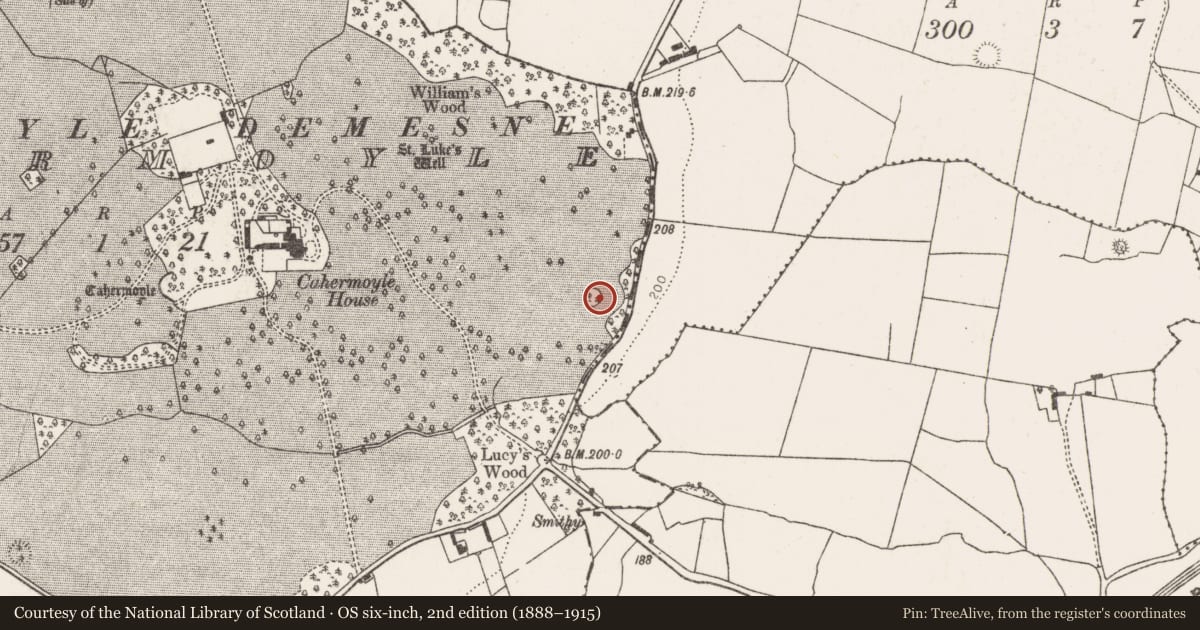 Ordnance Survey six-inch map, 2nd edition (1888–1915) covering the location of Designed landscape - tree-ring, Cahermoyle, County Limerick, with a pin at the register's coordinates