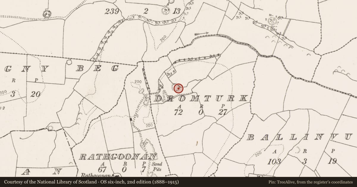 Ordnance Survey six-inch map, 2nd edition (1888–1915) covering the location of Ringfort - rath, Dromturk, County Limerick, with a pin at the register's coordinates