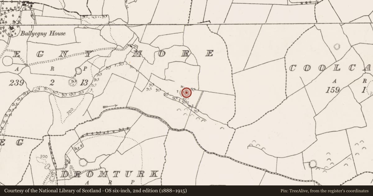 Ordnance Survey six-inch map, 2nd edition (1888–1915) covering the location of Ringfort - rath, Ballyegny More, County Limerick, with a pin at the register's coordinates