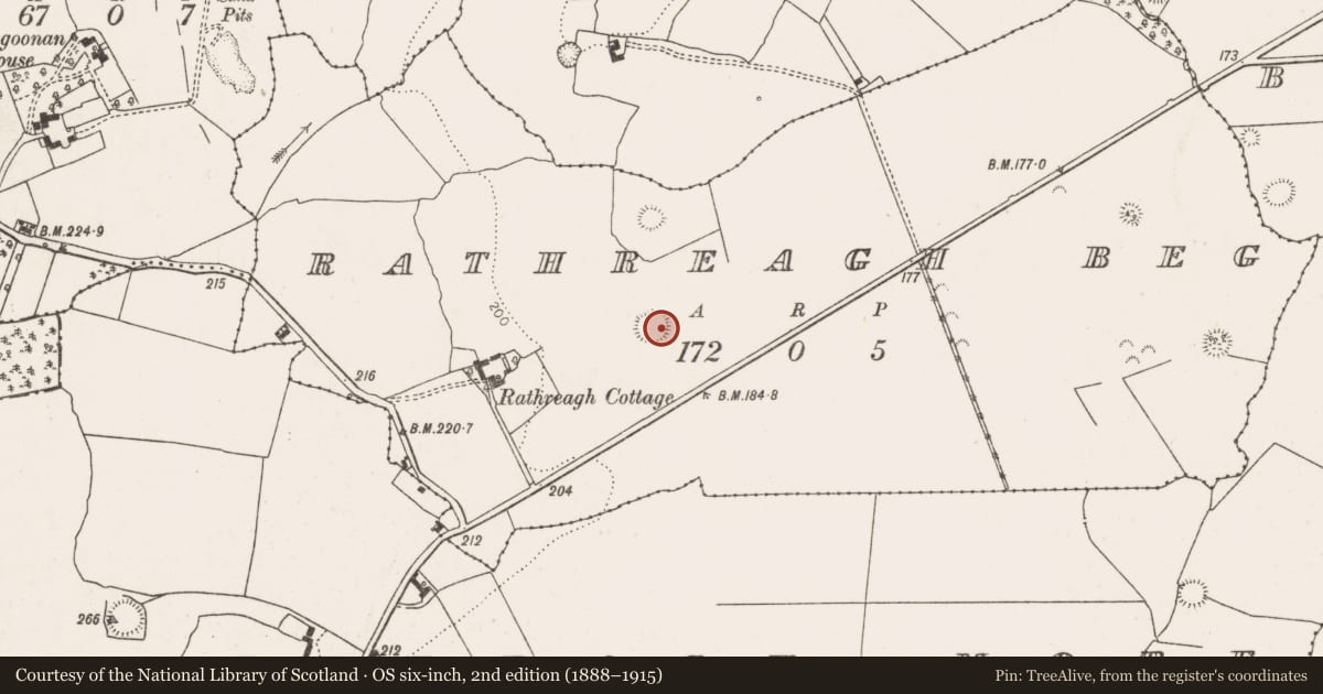 Ordnance Survey six-inch map, 2nd edition (1888–1915) covering the location of Ringfort - rath, Rathreagh Beg, County Limerick, with a pin at the register's coordinates