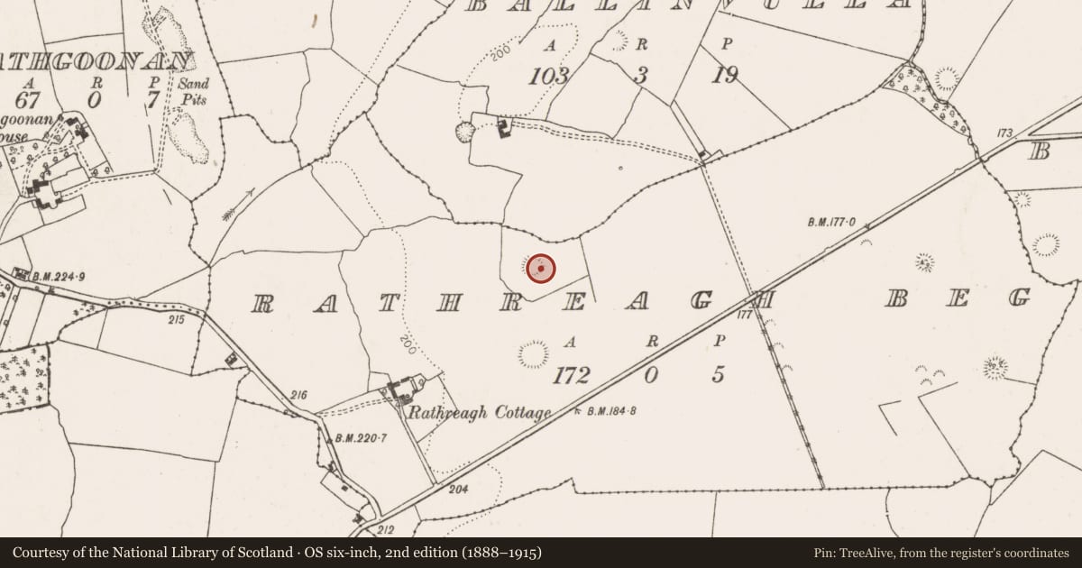 Ordnance Survey six-inch map, 2nd edition (1888–1915) covering the location of Ringfort - rath, Rathreagh Beg, County Limerick, with a pin at the register's coordinates