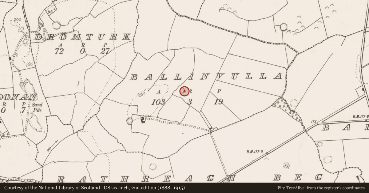 Ordnance Survey six-inch map, 2nd edition (1888–1915) covering the location of Ringfort - rath, Ballinvulla, County Limerick, with a pin at the register's coordinates