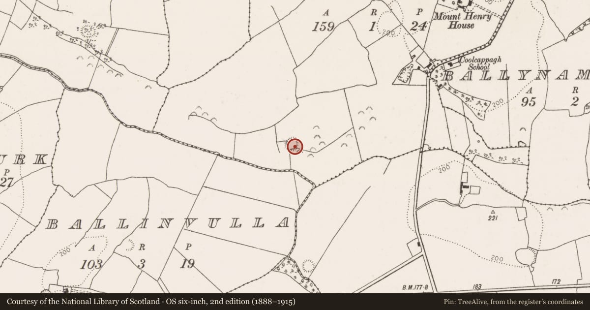 Ordnance Survey six-inch map, 2nd edition (1888–1915) covering the location of Ringfort - rath, Coolcappagh, County Limerick, with a pin at the register's coordinates