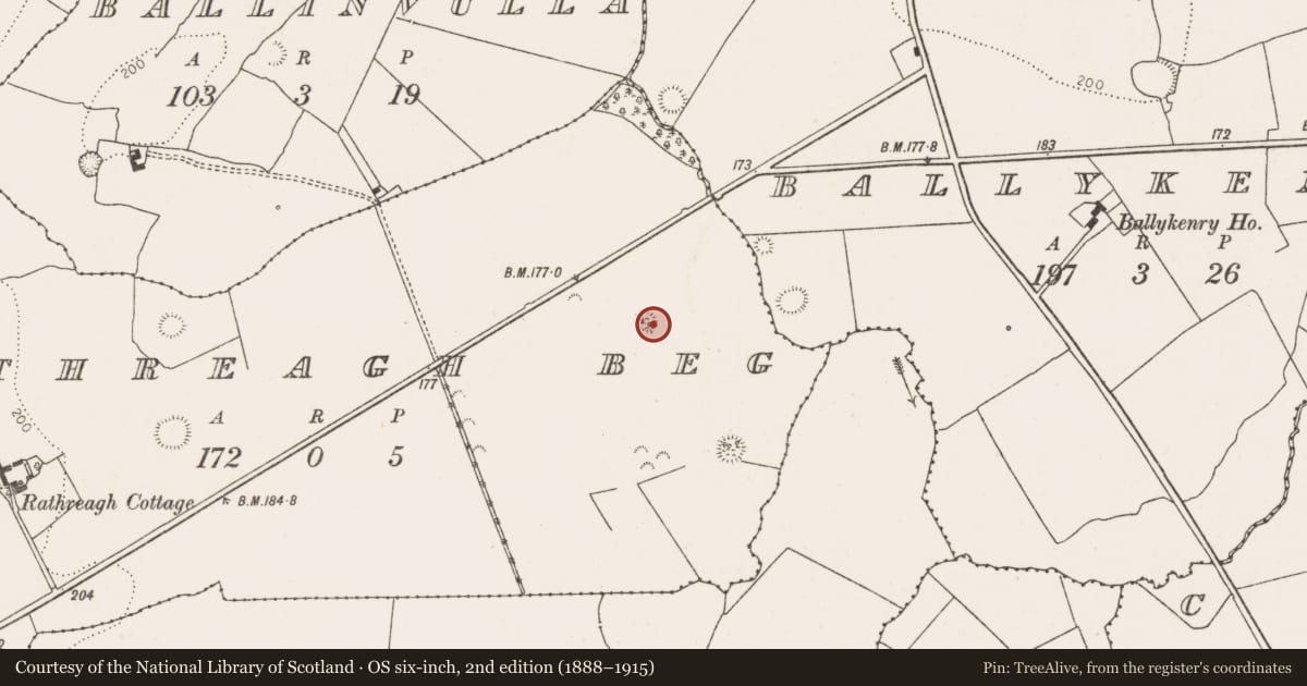Ordnance Survey six-inch map, 2nd edition (1888–1915) covering the location of Ringfort - rath, Rathreagh Beg, County Limerick, with a pin at the register's coordinates