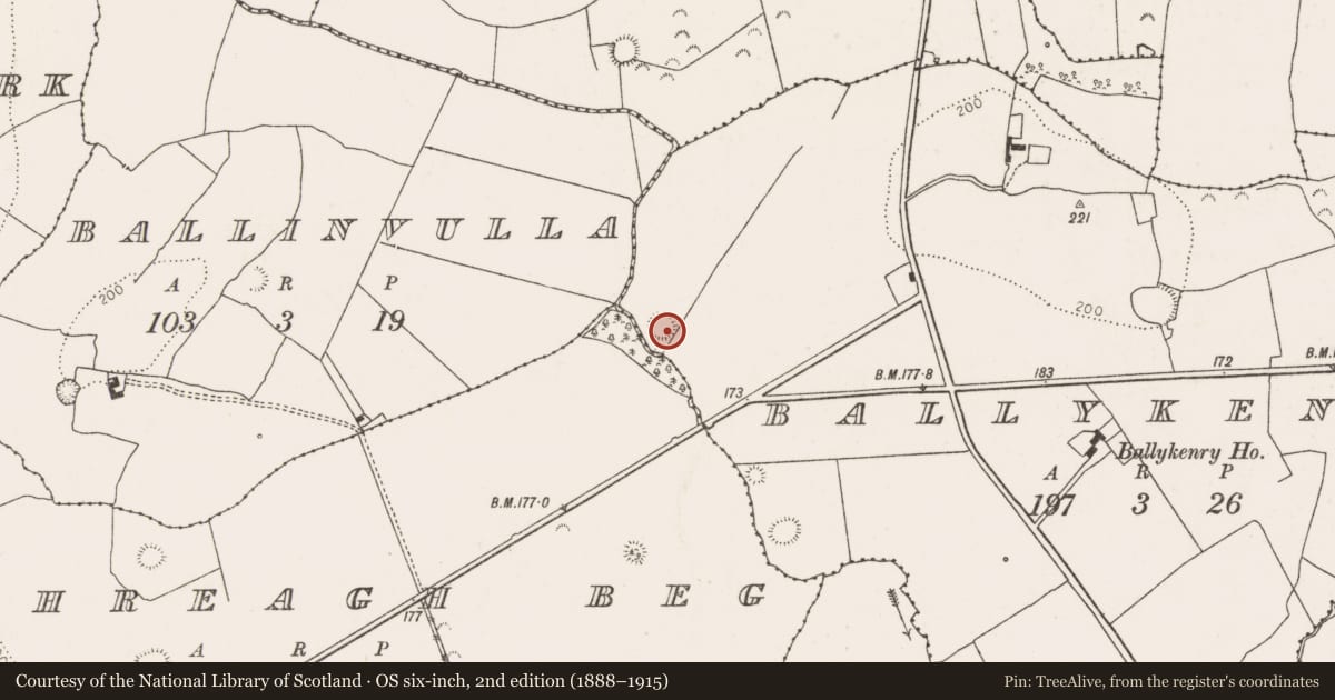 Ordnance Survey six-inch map, 2nd edition (1888–1915) covering the location of Ringfort - rath, Ballykenry, County Limerick, with a pin at the register's coordinates