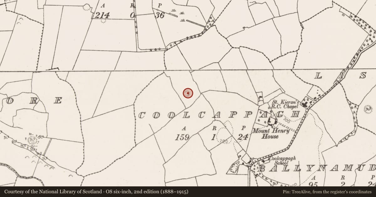 Ordnance Survey six-inch map, 2nd edition (1888–1915) covering the location of Ringfort - cashel, Coolcappagh, County Limerick, with a pin at the register's coordinates