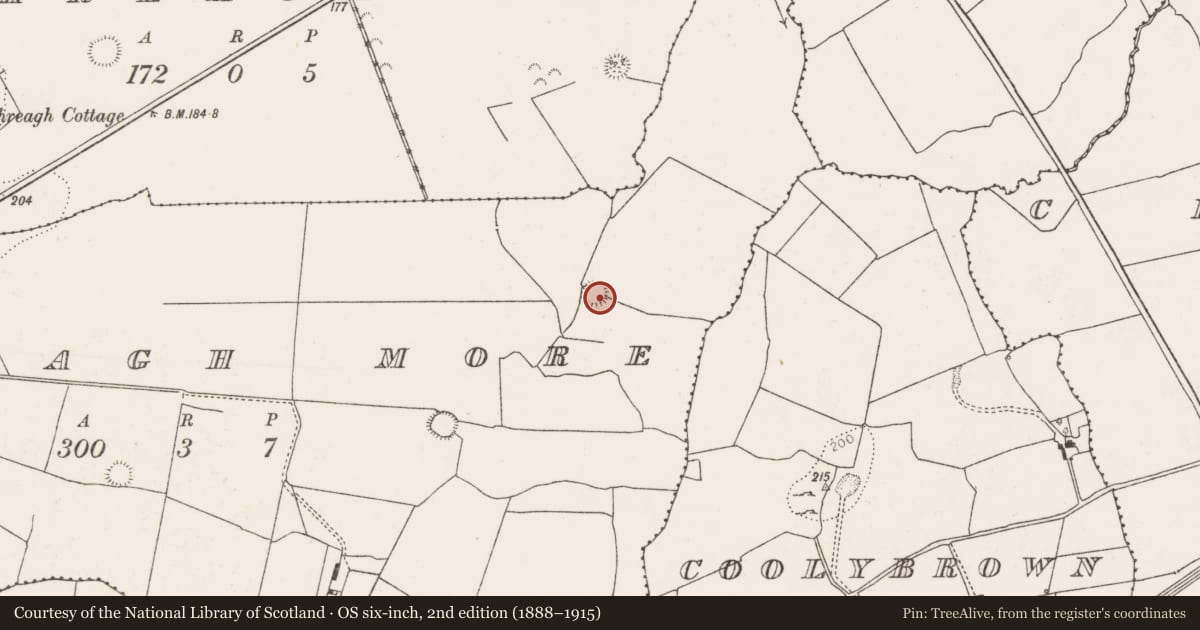 Ordnance Survey six-inch map, 2nd edition (1888–1915) covering the location of Ringfort - rath, Rathreagh More, County Limerick, with a pin at the register's coordinates