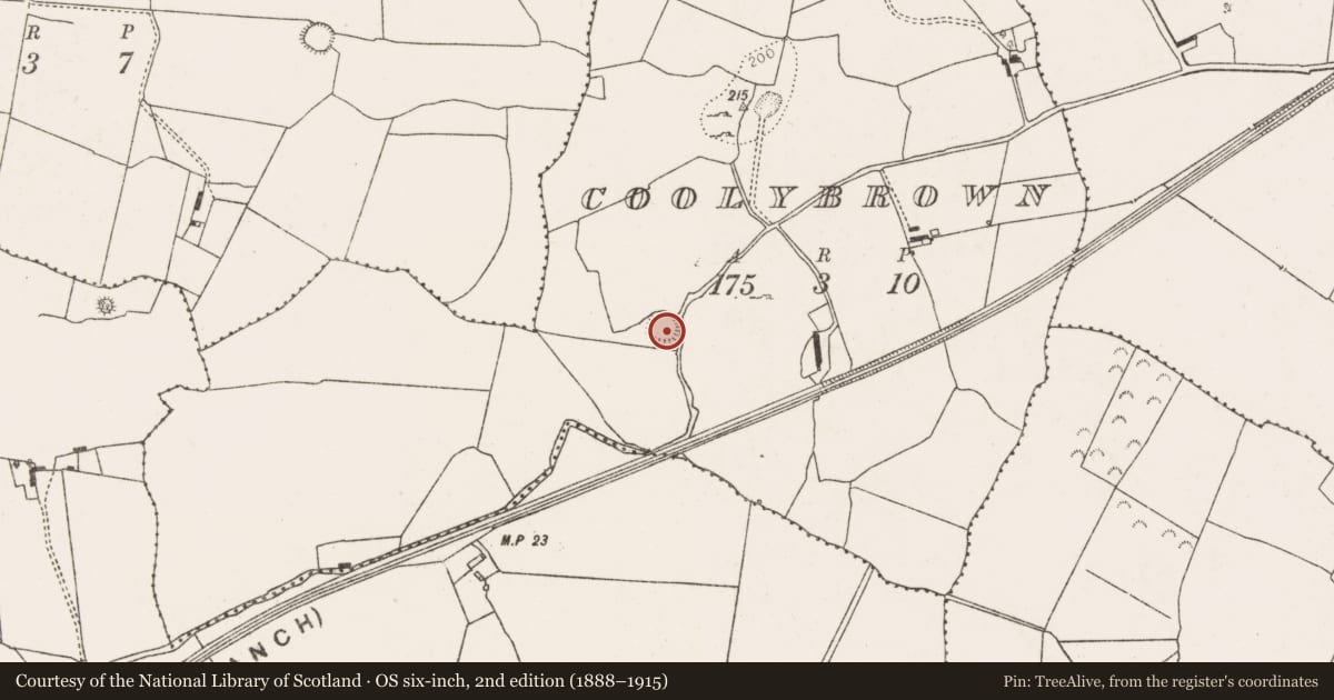 Ordnance Survey six-inch map, 2nd edition (1888–1915) covering the location of Ringfort - rath, Coolybrown, County Limerick, with a pin at the register's coordinates