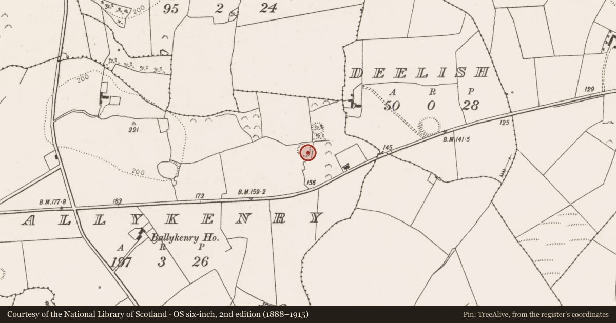 Ordnance Survey six-inch map, 2nd edition (1888–1915) covering the location of Ringfort - rath, Ballykenry, County Limerick, with a pin at the register's coordinates