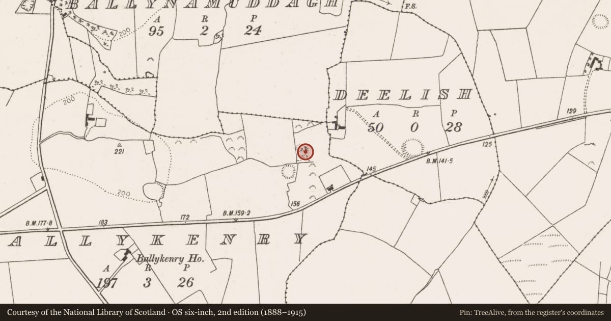 Ordnance Survey six-inch map, 2nd edition (1888–1915) covering the location of Ringfort - rath, Ballykenry, County Limerick, with a pin at the register's coordinates